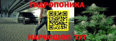 jwh Ачхой-Мартан