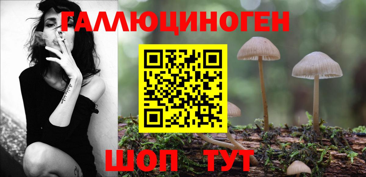 Галлюциногенные грибы GOLDEN TEACHER  где можно купить   Галлюциногенные грибы GOLDEN TEACHER  Печора  Вход с VPN 